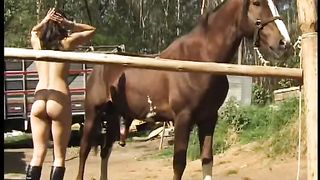 Newbies fucking horses--_short_preview.mp4